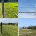 galvanized and stainless steel barbed wire